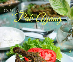 Itiak Lado Mudo PAK AYANG photo