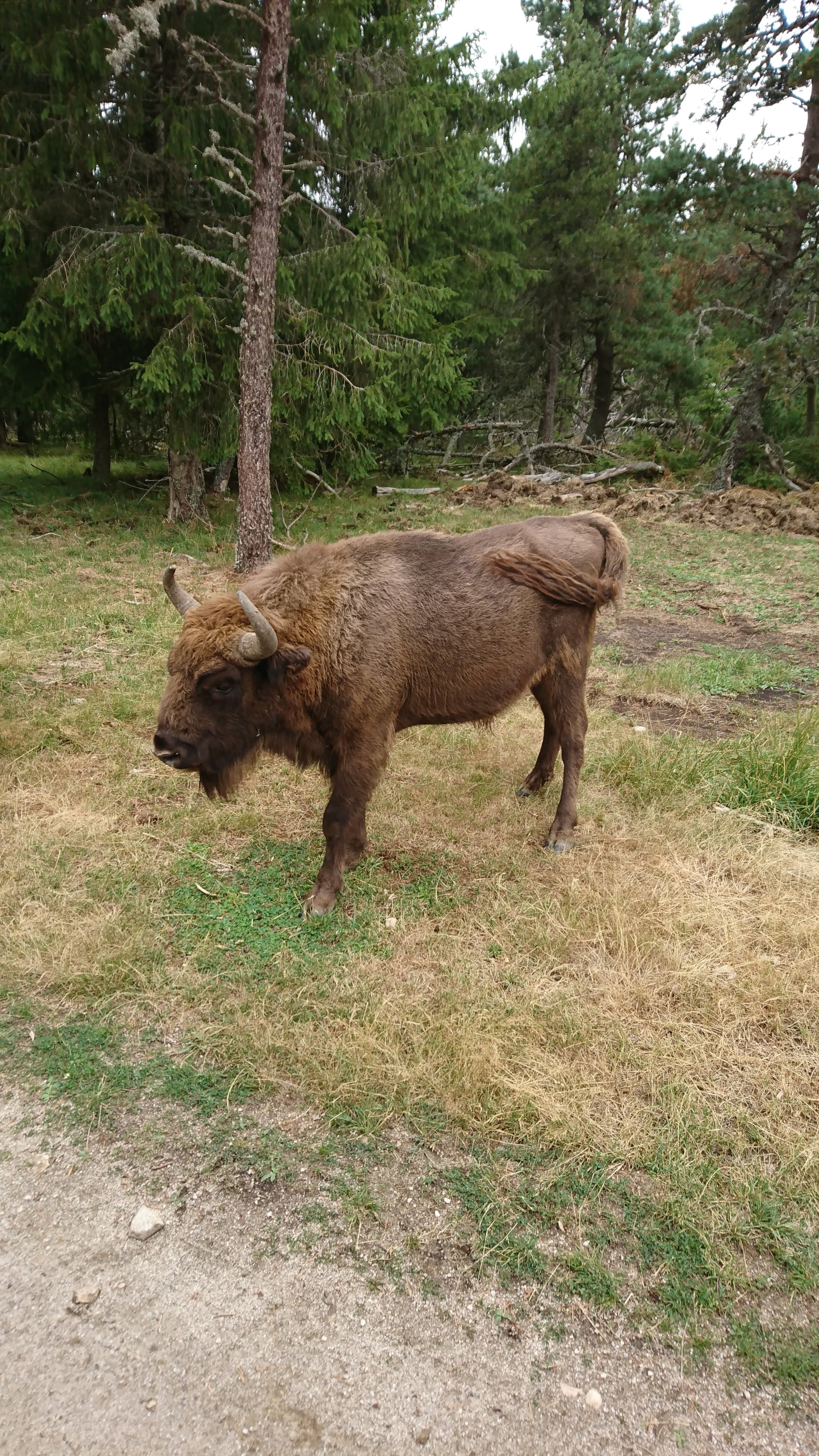 Photo n° 6 de l'avis de Bernard.l fait le 16/08/2019 à 10:01