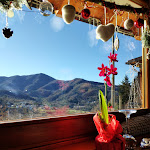 Photo n°2 de l'avis de Alcolisti.e fait le 17/01/2020 à 09:58 sur le  Locanda Dai Nonni à Villanoce