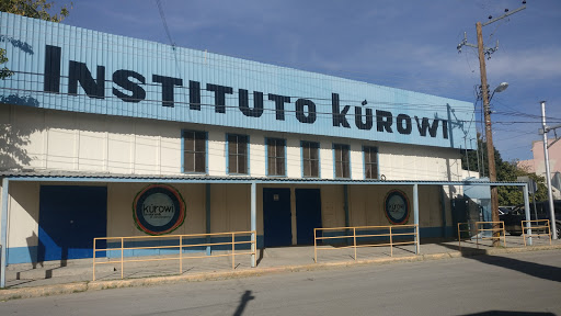 Instituto Kurowi
