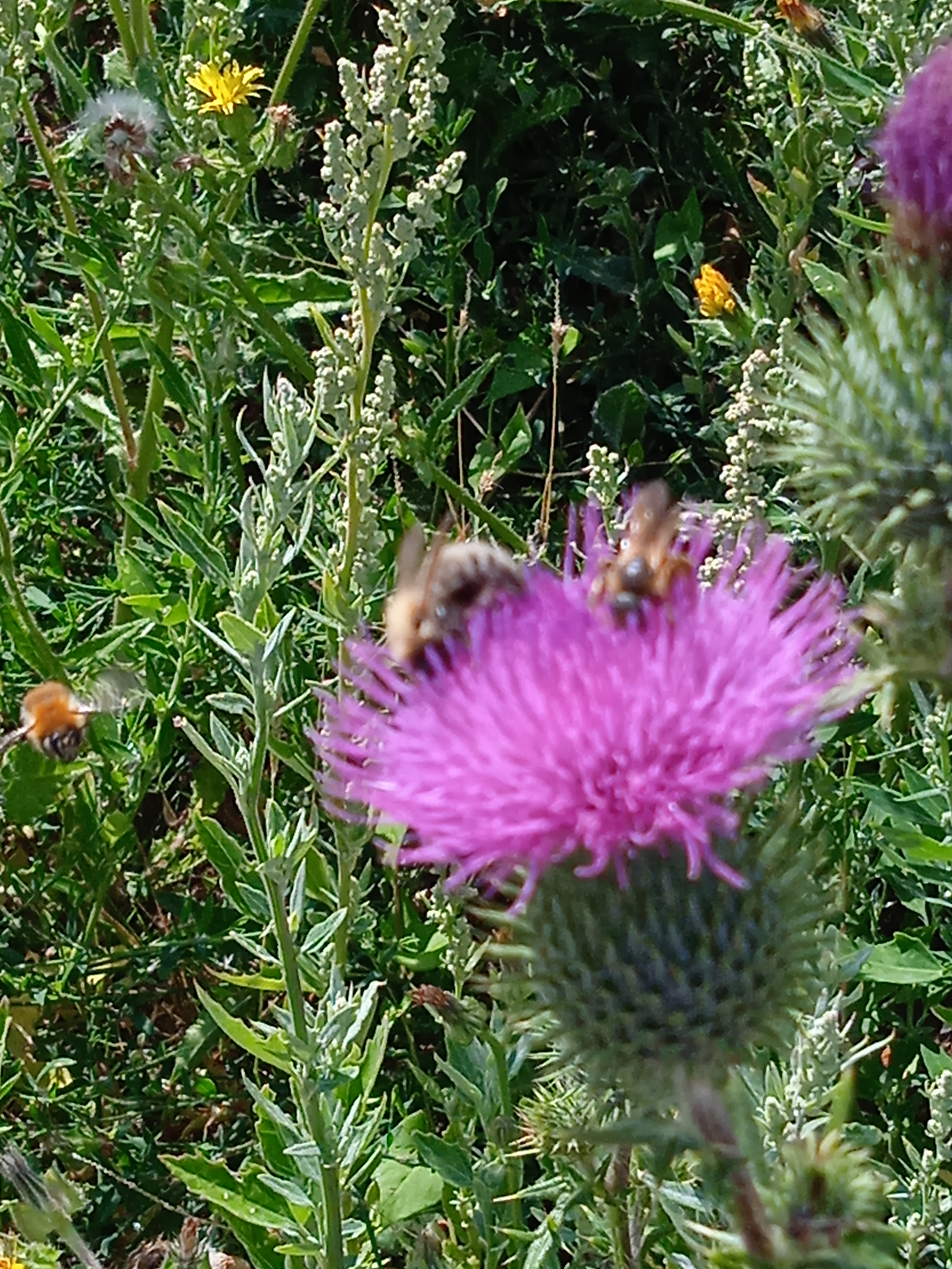 Photo n° 14 de l'avis de Tourn.a fait le 23/08/2022 à 20:34