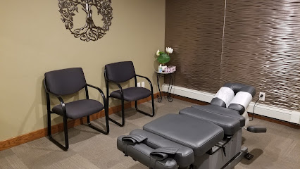 Ott Family Chiropractic & Wellness Clinic Wabasha