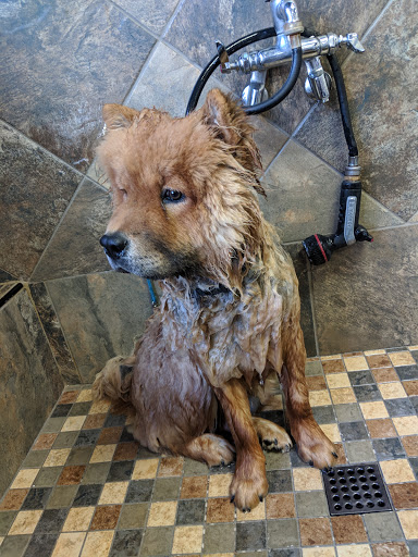 Pet Store «Pet Valu», reviews and photos, 14712 Baltimore Ave, Laurel, MD 20707, USA