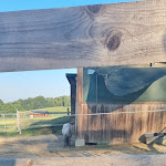 Photo n°1 de l'avis de Jessica.e fait le 19/08/2023 à 06:08 sur le  Bierstub'n zum Hansirglbauern Johann Buchbauer à Windorf