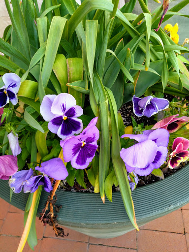 Cultural Center «Minnetrista», reviews and photos, 1200 N Minnetrista Pkwy, Muncie, IN 47303, USA