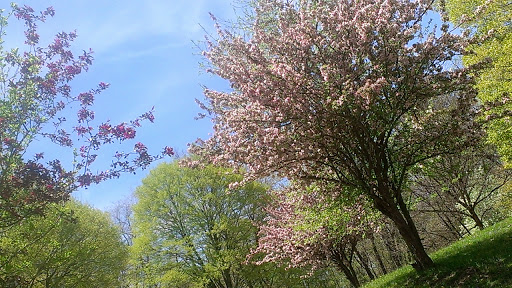 Park «East Palestine City Park», reviews and photos