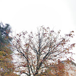 Photo n°1 de l'avis de sameh.h fait le 21/10/2023 à 13:04 sur le  Il Chiosco à Percile