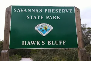 Savannas Preserve State Park - Hawk's Bluff Trail image