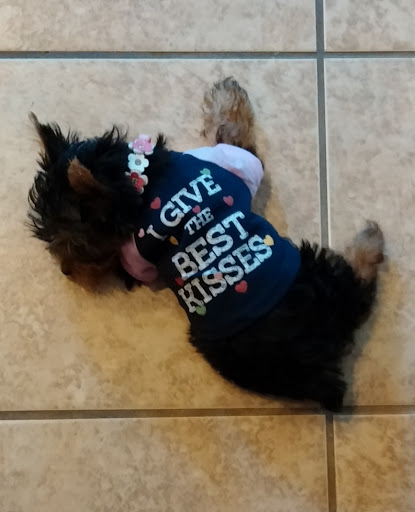 Pet Store «PetSmart», reviews and photos, 6545 North Grand Parkway West Suite 104, Spring, TX 77389, USA