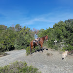 Photo n°5 de l'avis de Dario.r fait le 25/09/2018 à 22:43 sur le  Centro Ippico Pegaso à Collesalvetti