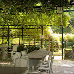 Photo n°2 de l'avis de Federico.r fait le 08/06/2022 à 12:04 sur le  Trattoria Al Laghett à Milan