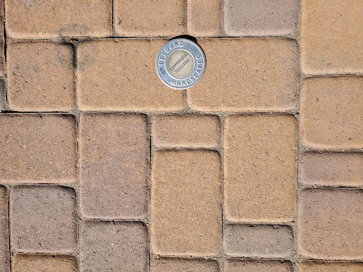 Masonry Supply Store «Marvel Building & Masonry Supply», reviews and photos, 8060 W Thunderbird Rd, Peoria, AZ 85381, USA