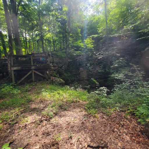 Dixon Cave Overlook Trail