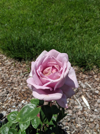 Community Center «NienhuisPark Community Center», reviews and photos, 3201 N 9th St, Broken Arrow, OK 74012, USA