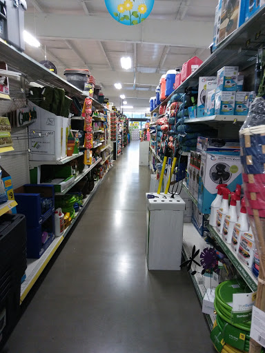 Discount Store «Dollar General», reviews and photos, 2900 W Delmar Ave, Godfrey, IL 62035, USA