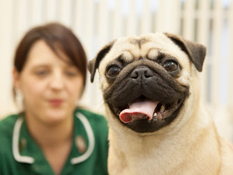 Wimbledon Veterinary Surgery