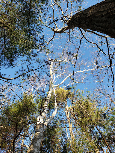 Nature Preserve «Littlejohn Island Preserve», reviews and photos, Pemasong Ln, Yarmouth, ME 04096, USA