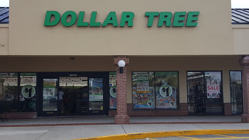 Dollar Store «Dollar Tree», reviews and photos, 2464 W Brandon Blvd, Brandon, FL 33511, USA