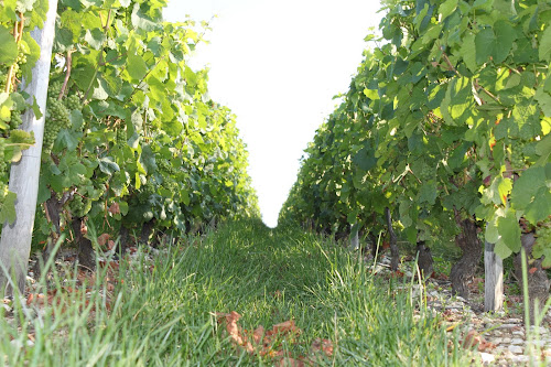 Gaec Girard Frères à Humbligy