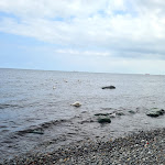 Photo n°9 de l'avis de Irina.i fait le 31/07/2021 à 15:39 sur le  Landhotel Rügen à Samtens