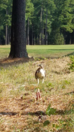 Golf Course «Lake Shore Golf Course», reviews and photos, 4621 Lumley Rd, Durham, NC 27703, USA