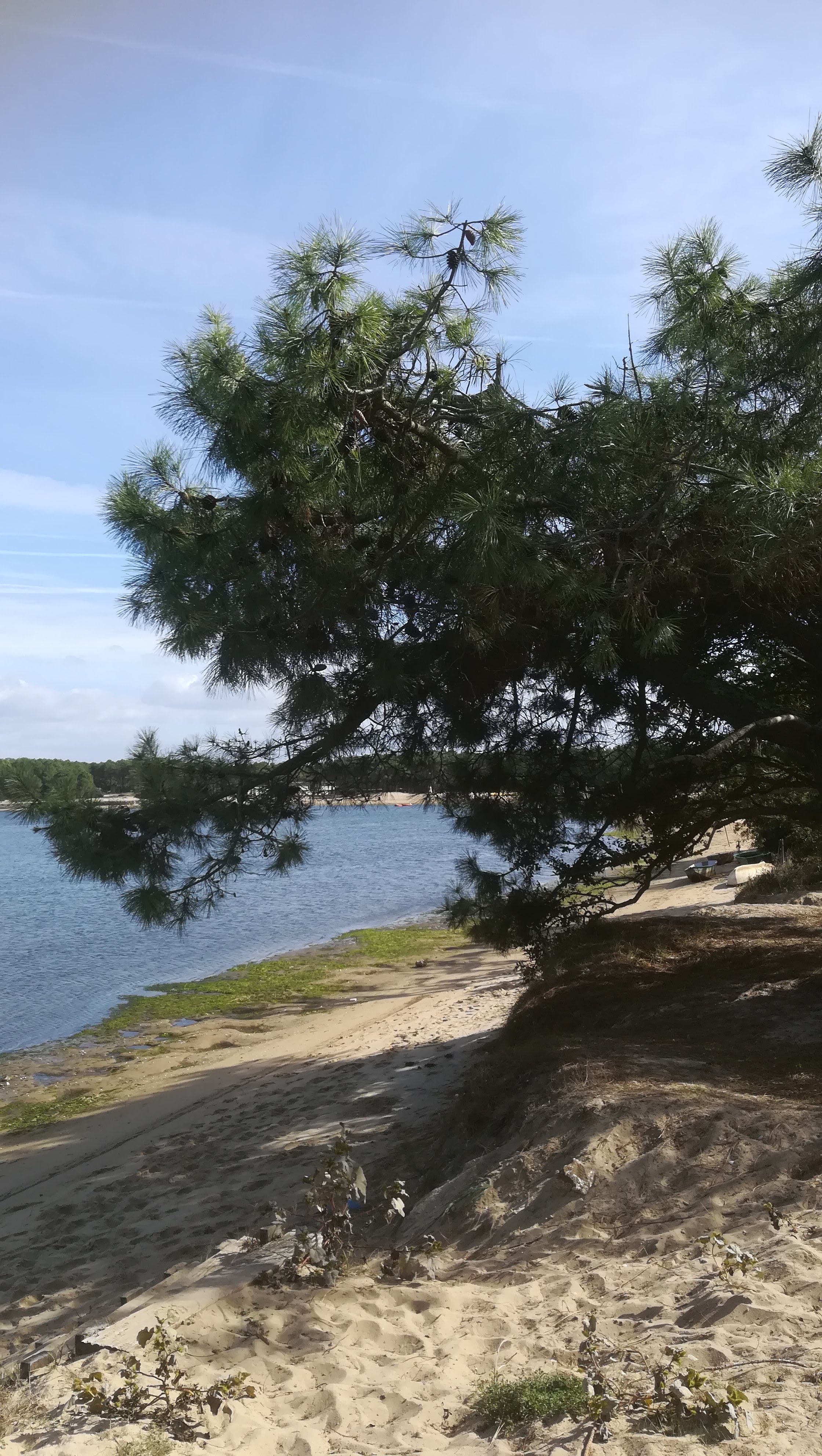 Photo n° 7 de l'avis de NOUNOU.7 fait le 21/10/2018 à 06:31