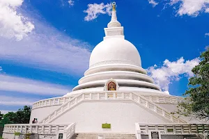 Japanese Peace Pagoda - Rumassala image