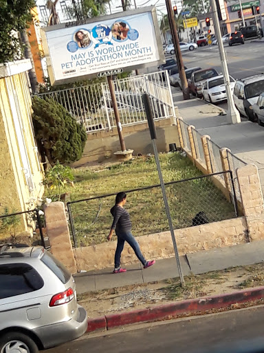 Ice Cream Shop «Boston Cream Doughnut», reviews and photos, 1009 W Anaheim St, Wilmington, CA 90744, USA