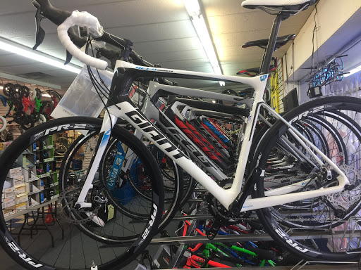 Bicycle Store «Champion Cycling Inc», reviews and photos, 11447 San Jose Blvd, Jacksonville, FL 32223, USA