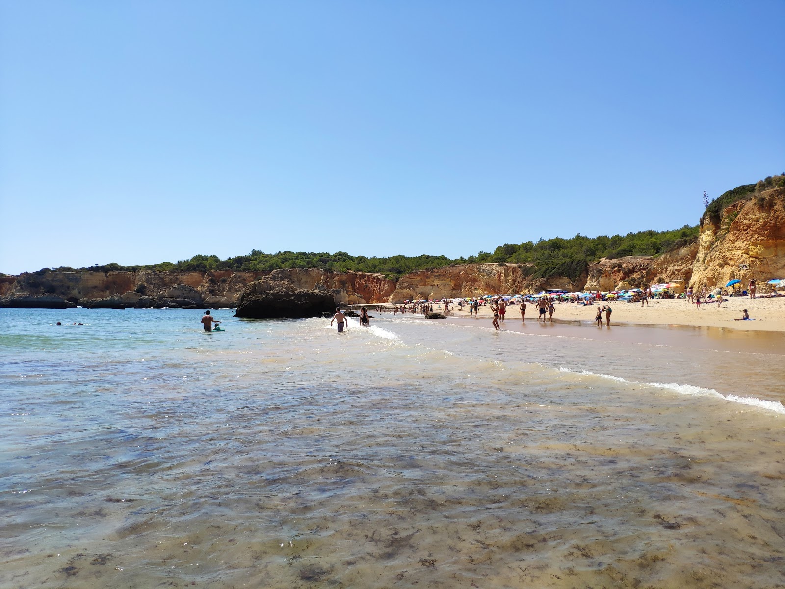 Photo of Praia do Alemao surrounded by mountains