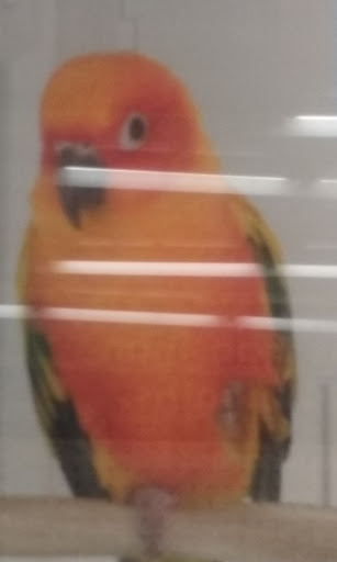 Pet Supply Store «Petco Animal Supplies», reviews and photos, 6761 Westminster Ave, Westminster, CA 92683, USA