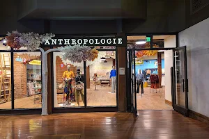 Anthropologie image