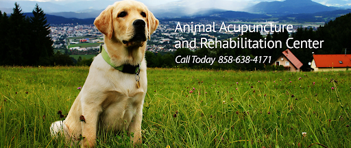 Animal Acupuncture and Rehabilitation Center image