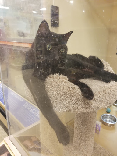 Pet Supply Store «PetSmart», reviews and photos, 16514 SW 88th St, Kendall, FL 33196, USA