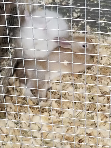 Department Store «Rural King», reviews and photos, 10400 Highland Rd, Hartland, MI 48353, USA