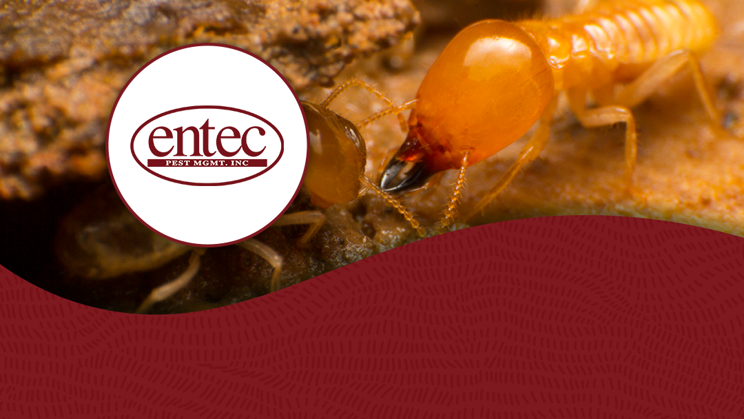 Entec Pest Management Inc