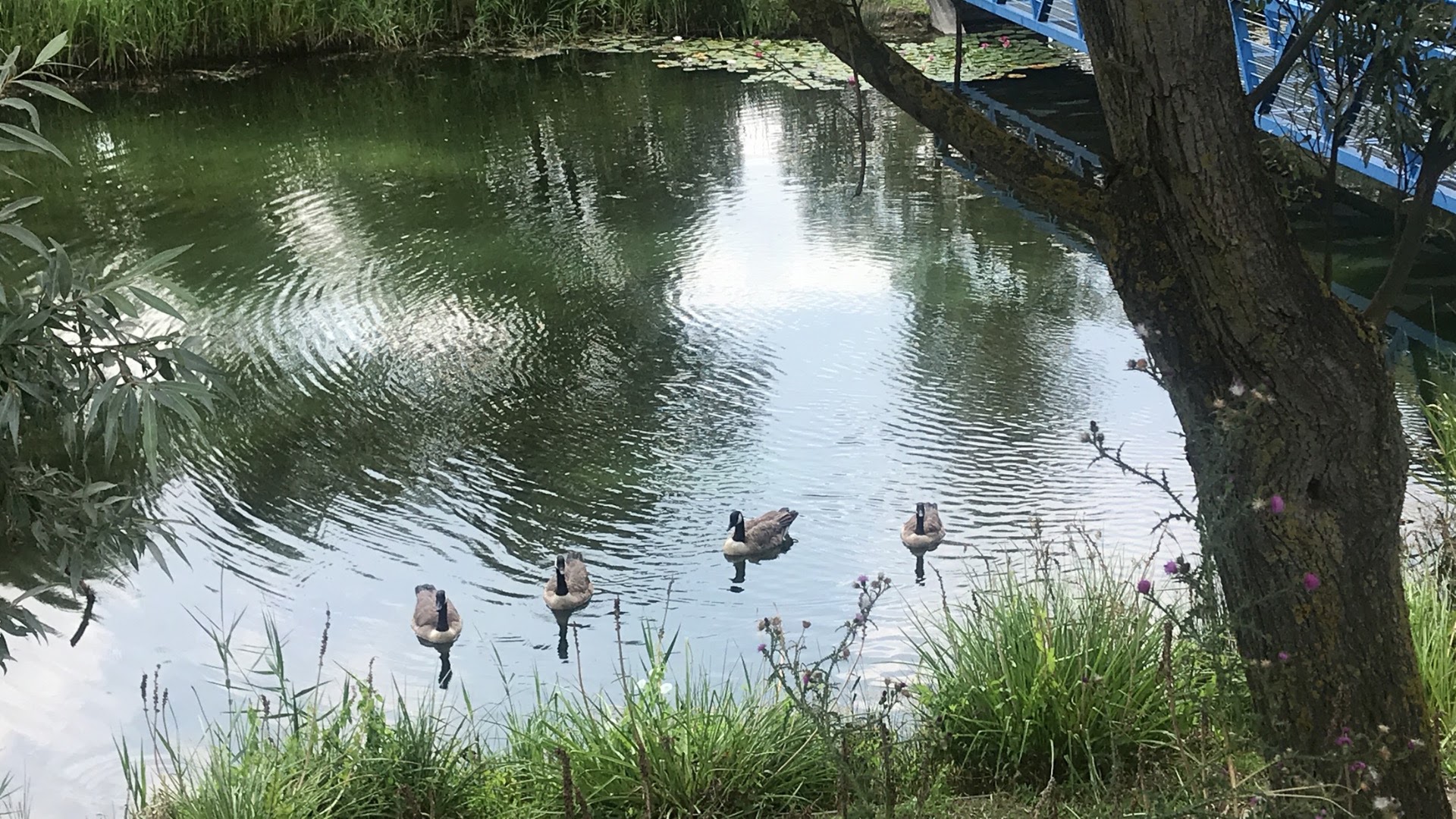 Photo n° 1 de l'avis de Emi. fait le 02/08/2018 à 20:20