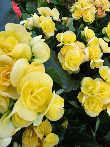 Home Improvement Store «The Home Depot», reviews and photos, 2421 Old Taylor Rd, Chesapeake, VA 23321, USA