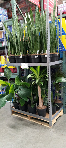 Warehouse club «BJ’s Wholesale Club», reviews and photos, 825 Pelham Pkwy, Pelham Manor, NY 10803, USA