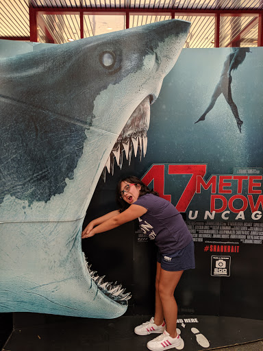 Movie Theater «AMC Loews Woodridge 18», reviews and photos, 10000 Woodward Ave, Woodridge, IL 60517, USA