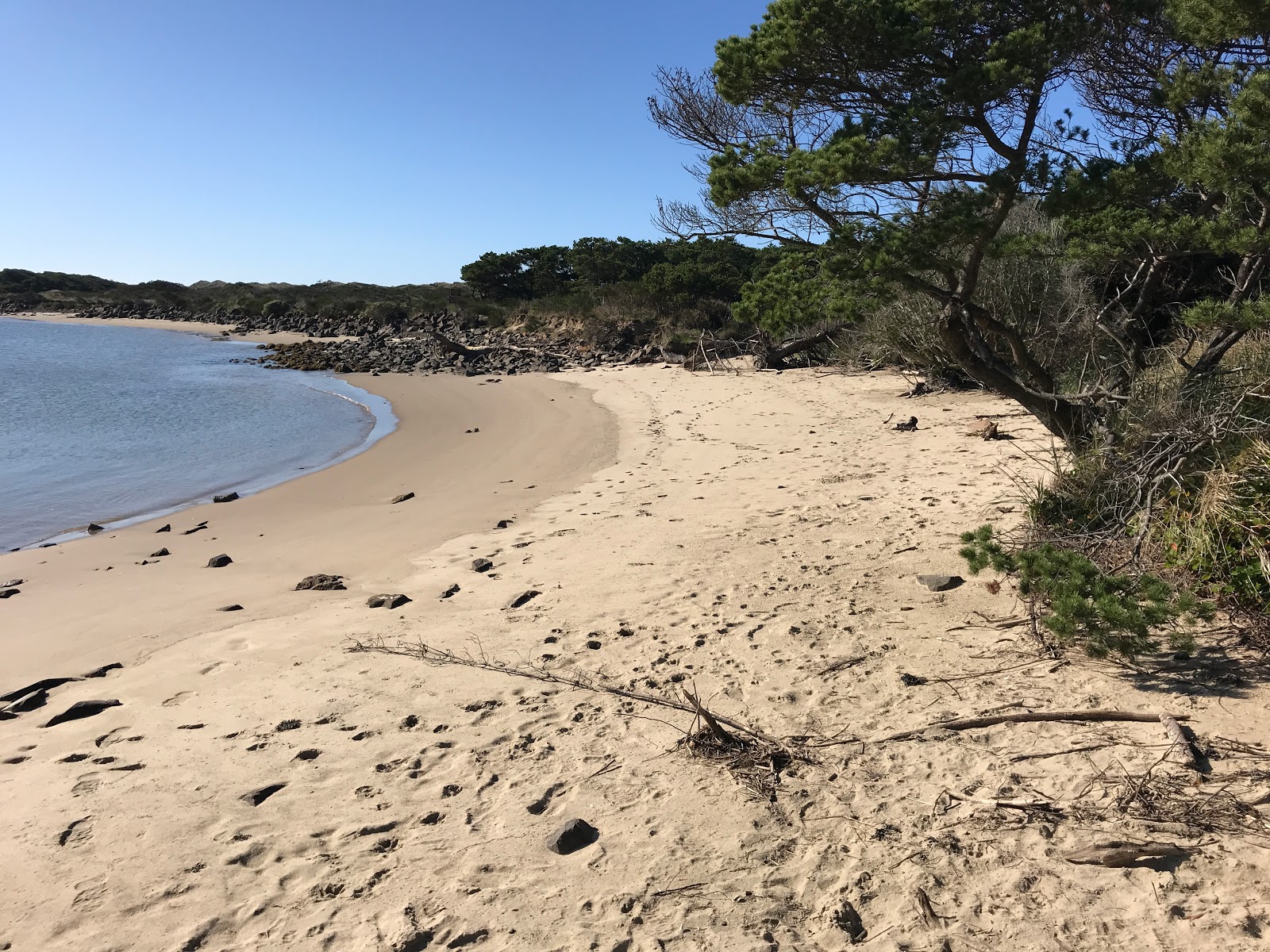 Φωτογραφία του South Jetty Beach II με φωτεινή άμμος και βράχια επιφάνεια