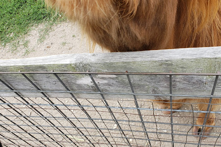 Mc Questen Farm Stand