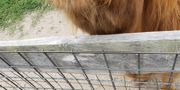 Mc Questen Farm Stand