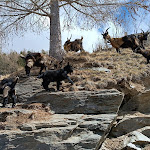 Photo n°6 de l'avis de Alfred.a fait le 17/04/2023 à 19:42 sur le  Oberkaser Hofkäserei à Latsch