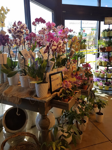 Grocery Store «Westborn Market», reviews and photos, 21770 Michigan Ave, Dearborn, MI 48124, USA