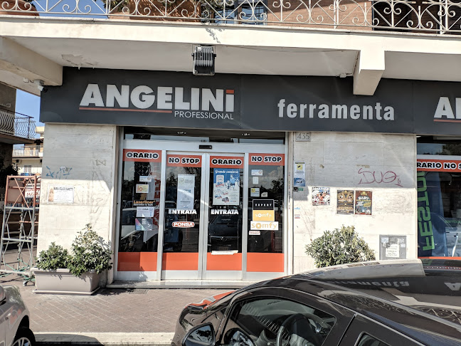 Angelini Professional Srl - Roma