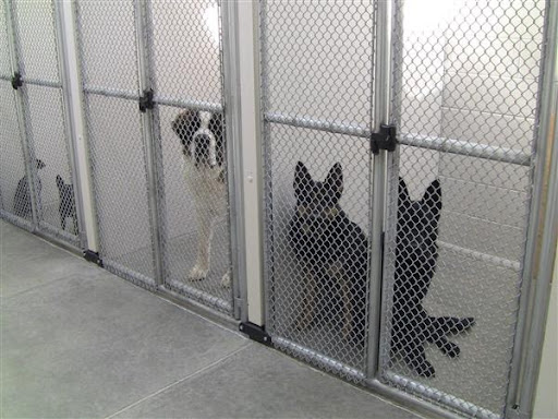 Bed & Biscuit Pet Resort