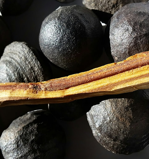 Yoga Studio «OmCulture», reviews and photos, 2210 N Pacific St, Seattle, WA 98103, USA