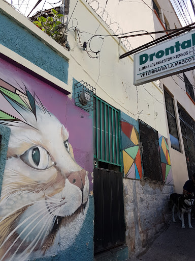 Veterinaria La Mascota, Barrio Guadalupe, Tegucigalpa, Honduras