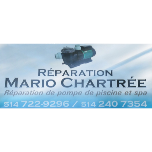 Reparation Mario Chartree